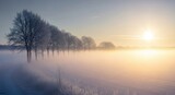 Misty winter sunrise over a frosty field with a row of snowcovered trees illuminated by the golden sun breaking through the fog