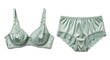 © Vidya Rahmandari - Elegant lingerie set in green silky fabric isolated