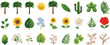 © Blue Rain - Spring theme emoji set, floral elements such as flowers and plants on transparent background. vector file