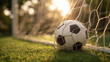 © Екатерина Чумаченко - A classic soccer ball rests in the net, sunlight streaming through, casting a warm glow on the lush, green grass of the field.