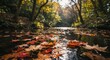 © Elbowpain - Fallen autumn leaves float upon the surface of a tranquil woodland stream