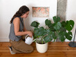 © Martin - Woman squatting and watering a houseplant