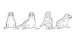 © LOBSTER LARRY - Seal pose variations in outline style: front, side, and rear views