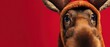 © Fernando - Adorable dog in reindeer costume, looking curiously at the camera against a vibrant red background Concept of Christmas, holiday pets, and winter celebrations