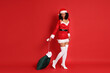 © New Africa - Beautiful woman in Mrs Claus costume with sack on red background. Christmas season