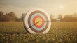 © Sona - An archery target with an arrow hitting the bullseye, set on a grassy field during sunset. Focus on precision, aim, and sporting activity.