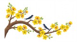 Yellow apricot blossom branch with two swallow birds sitting on tree spring nature vector illustration.