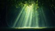 © wawan - Sunlight streams through the trees in a lush forest, creating a dramatic and serene atmosphere. The image captures the beauty of nature with a focus on light an