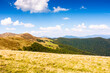 © Pellinni - landscape with grassy meadow of krasna ridge on a sunny day. carpathian mountain scenery of ukraine in summer. transcarpathia travel background. beauty in nature of green alpine environment