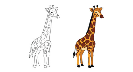  A realistic and detailed illustration of a tall giraffe is presented in both a full-color version and a black and white outline for coloring.