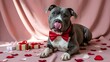 © MdJilu - Cute blue pitbull dog wearing a red bow tie licking its nose on pink background