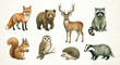 © Nofriyan - Cute watercolor forest animals wildlife illustration set fox bear deer raccoon squirrel owl badger h