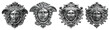 © Rawpixel.com - PNG Ornate silver decorative face designs, element set on transparent background