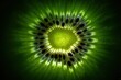 © Nutcha - A backlit slice of ripe kiwi fruit, showing the translucent green flesh, radiating white core patterns, and tiny black seeds embedded within