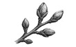 © 123levit - Pointillism technique depicting detailed tree buds in monochrome