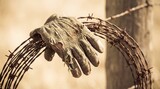 Old work glove snagged on rusty barbed wire in a rural setting.