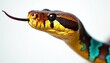 © miss irine - Close-up of snake head with yellow and brown scales. Snake has black eyes and long tongue out. Reptile has green and brown body. Animal looks to side on white background.