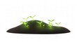 © ihsan - Green sprouts emerging from dark soil, symbolizing growth and new beginnings