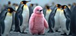 © Vadym - Pink penguin stands out in flock of grey penguins. Odd one fluffy. Symbolize uniqueness idea, different from others. Leadership metaphor in business, marketing. Success concept of individual approach.