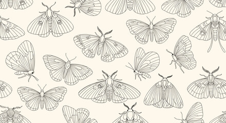 Naklejka na meble Seamless pattern with various hand-drawn moths and butterflies in a vintage-style black and white line art illustration.