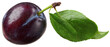 © Jhati - Close up of a dark plum with water droplets and a green leaf on a white background