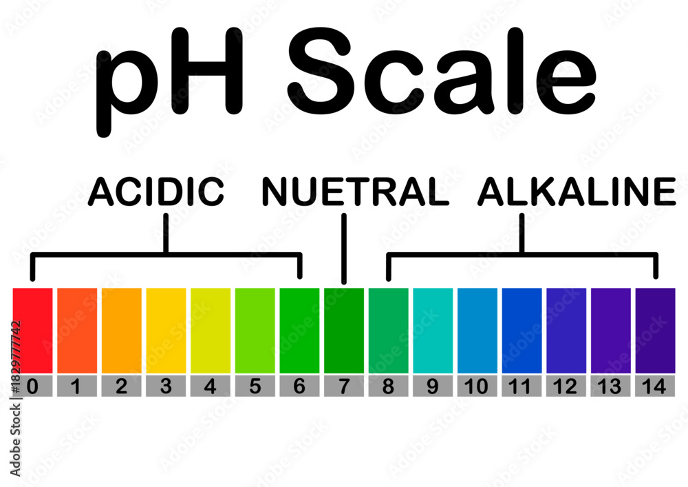 Neutral Base pH Scale Diagram for Acids and Bases easy-to-read pH scale chart ...