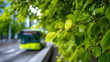 © Mikhail Vorobev - Vibrant green leaves in sharp focus with a blurred city bus and street in the background capturing the essence of urban nature and transportation harmony on a sunny day