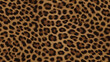 © Phamminn - Seamless brown leopard fur pattern realistic luxury background leopard fur texture animal skin decor 38331858 1
