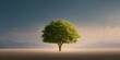 © JPminimal - Majestic tree standing alone on a deserted landscape nature photography serene environment peaceful view