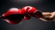 © Ngoc - Red Boxing Glove Punching Red and Black Speed Bag in Studio