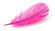 © Maxpoint Imran - Single bright pink feather isolated on white background close up