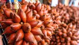 Close up of fresh ripe Salak fruit bunches.