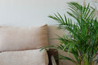 © Marcos Osorio/Stocksy - Cozy home interior with soft couch and vibrant plant in focus