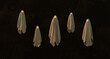 © Vera Lair/Stocksy - Five Ghostly Figures With Glowing Eyes Appear in a Dimly Lit Space