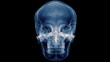 © Plaifah - Detailed X-ray of a Human Skull with Transparent Features, Highlighting Cranial Structure, Teeth, and Jawbone Elements for Educational Purposes