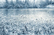 © Volodymyr - group of dry field plants covered with caps of fresh snow against the background of heavy snowfall and a blurred reservoir creating a frosty, cold and calm winter background