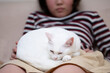 © hakase420 - 女の子の膝の上で寛ぐ猫
