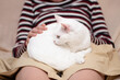 © hakase420 - 女の子の膝の上で寛ぐ猫