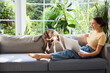 © baranq - young woman using laptop on sofa having fun with her whippet dog puppy