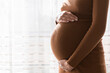 © sosiukin - Pretty young pregnant woman standing by the window in home