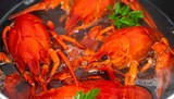 Close-up of vibrant red crustaceans in a pot of simmering liquid, with sprigs of green herb