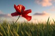 © Achirawee - Macro 3D render of a vibrant red poppy against a blurred green meadow, pastel sky above, ample empty area on one side for text