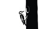 © Power Clipart - A striking black and white minimalist illustration of a woodpecker clinging to a tree trunk creating a high-contrast graphic.