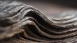 © T - An abstract close-up photograph of weathered driftwood, highlighting the deep, flowing lines and the intricate, organic texture of the wood grain