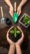 © NoorArt Studio - Hands holding small plant seedling over soil and tool