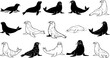 © Jenz0 - Collection of seal silhouettes and outlines in various artistic styles