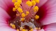 © Shreya777 - Extreme closeup of pink flower stamen with yellow pollen and nectar
