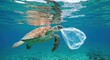 © wakhid - Sea turtle struggling with plastic bag in ocean, highlighting pollution
