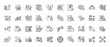 © PixeloAI - Business, data, and technology line icon set. Vector pictograms of document, chart, research, calendar, brain, and security, thin linear illustration.
