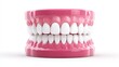 © PixelCrafted - Dental model of teeth on a white background.